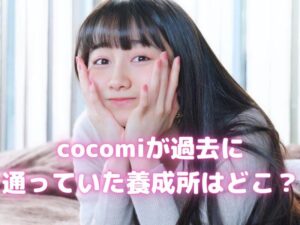 林原めぐみの旦那はあみやまさはる 結婚して子供は何人居るの 声優の本棚